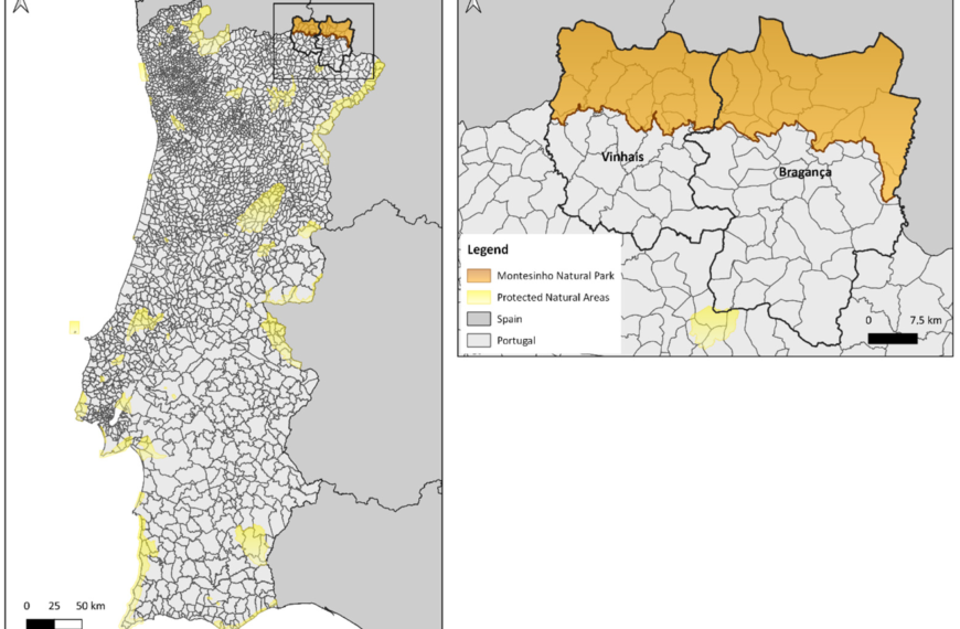 Discover Oleiros: A Coastal City Embracing Community, Sustainability, and Well-being