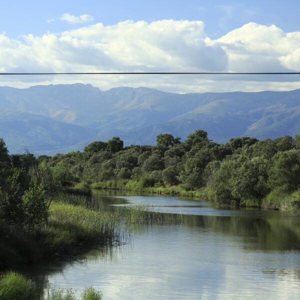 Discovering Anabal Moral de la Mata: A Family-Friendly Retreat in Extremadura