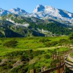 Discovering the Enchanting Forest of Code: A Hidden Gem in Cantabria