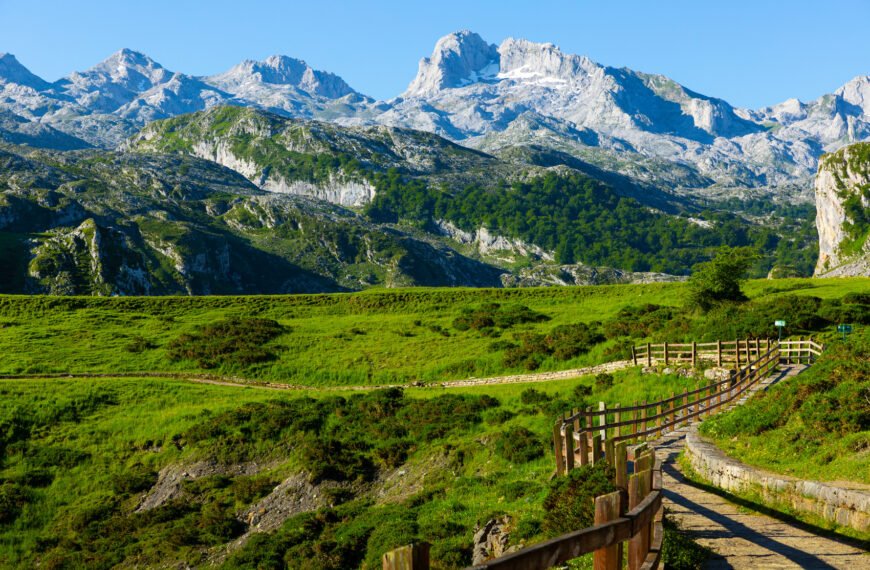 Discovering the Enchanting Forest of Code: A Hidden Gem in Cantabria