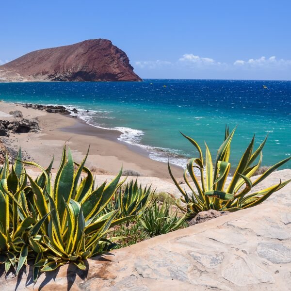 Exploring Granadilla de Abona: Uncover the Delights of Tenerife's Southern Gem