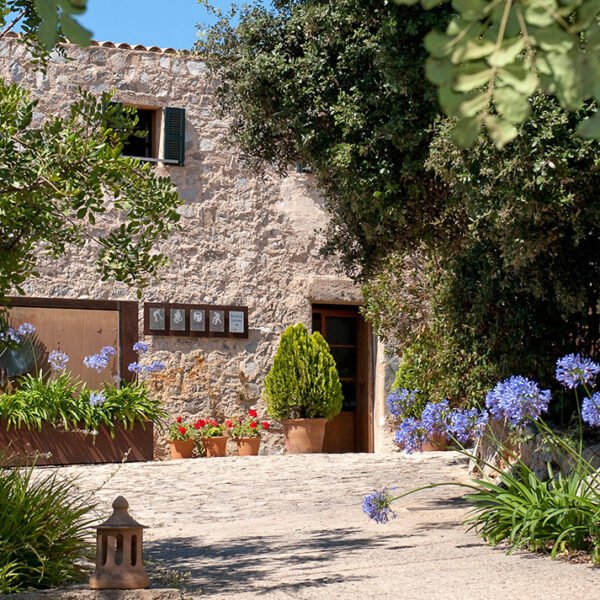 Exploring Tranquil Campos: Discover the Charms of Agrotourism Finca Can Core